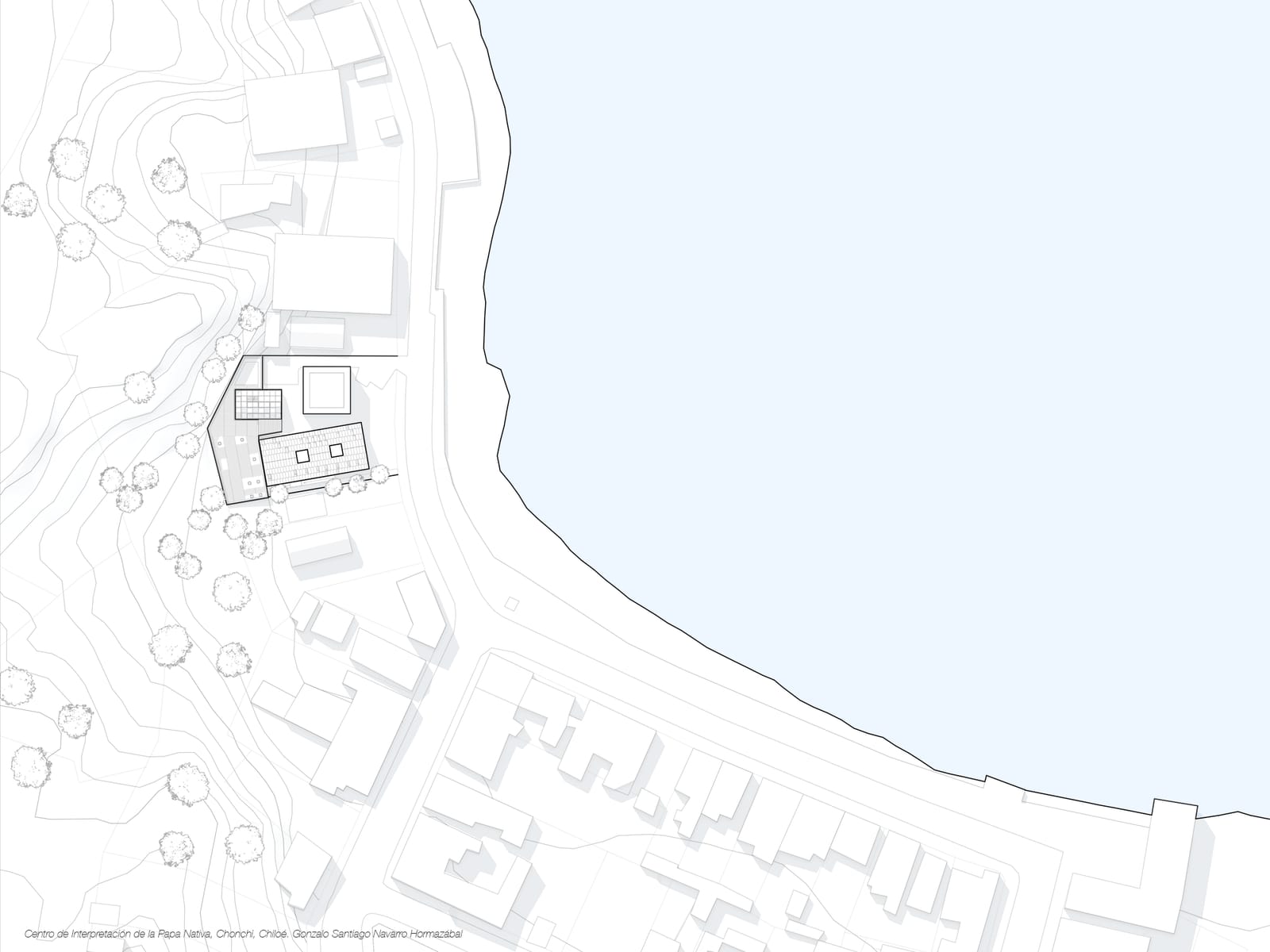 Site plan of the complex along the waterfront, with the coastal edge and the town grid