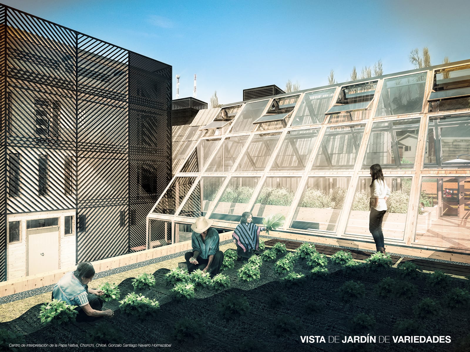 Outdoor variety garden with visitors walking the rows and the greenhouse building behind