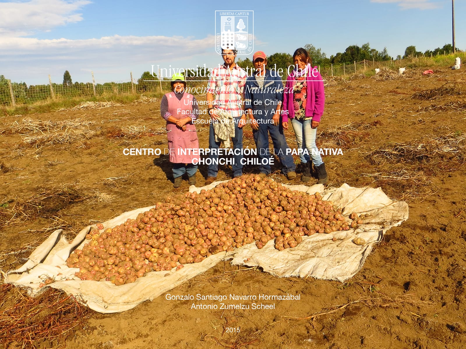 Photograph of Chiloé farmers beside a harvest of native potatoes spread on the ground