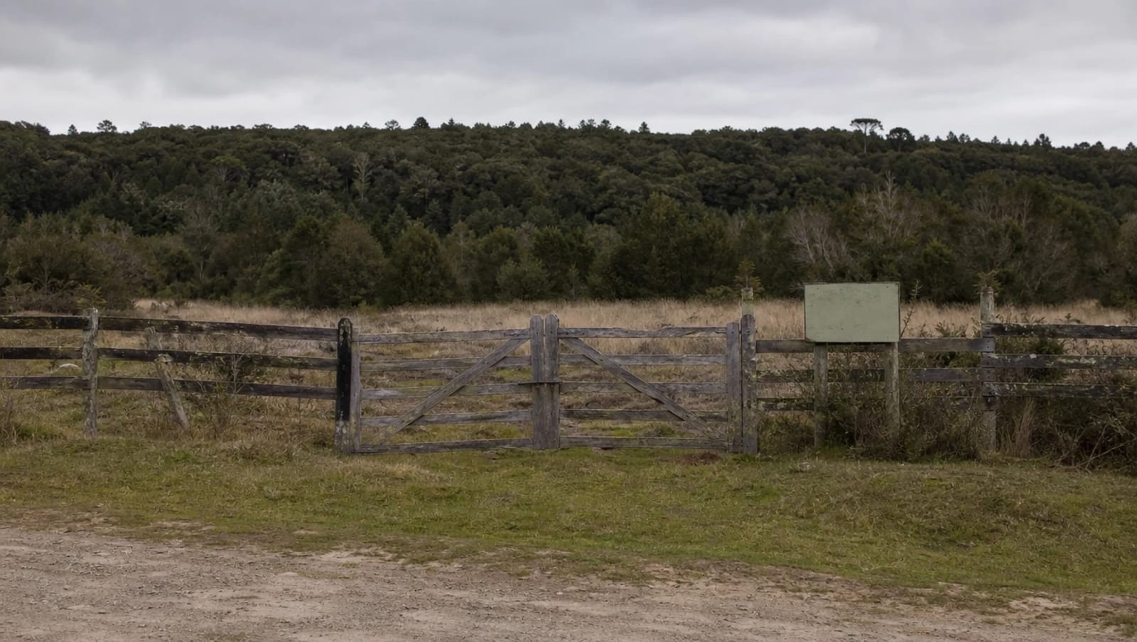 Empty rural site with a timber fence, closed gate and a faded for-sale sign, native forest behind