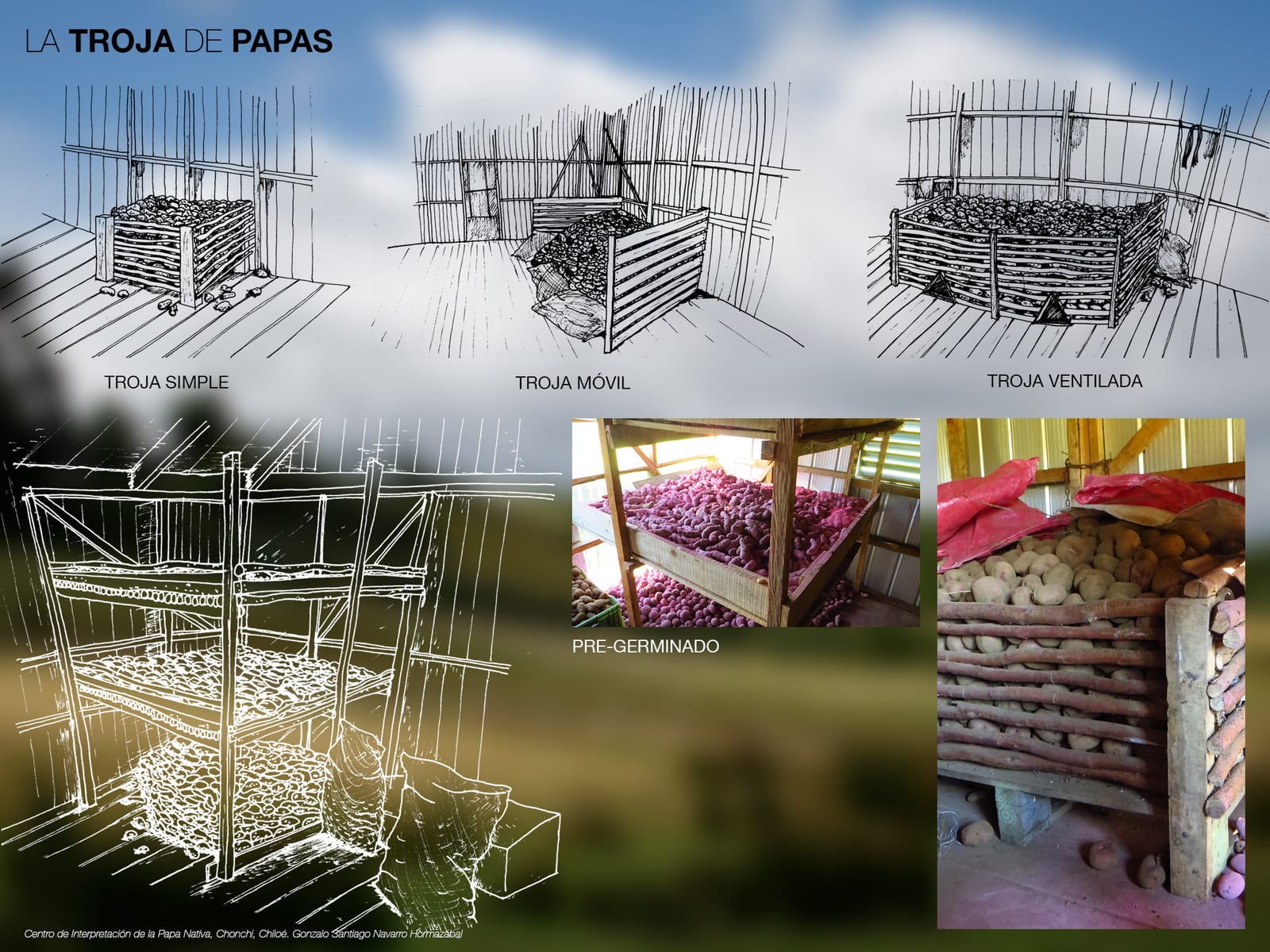 Diagrams of three kinds of storage crib —simple, mobile and ventilated— alongside photographs of stored potatoes and the terraced seed rack